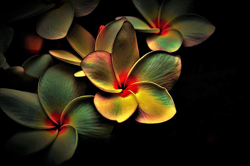 Abstract Movement