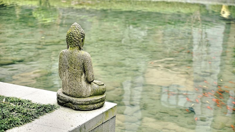 Mindfulness Image