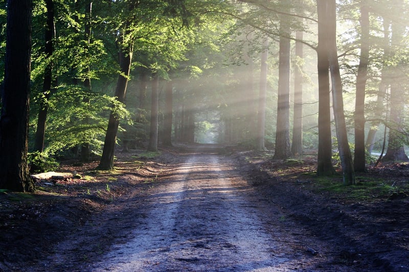 Walking in Nature